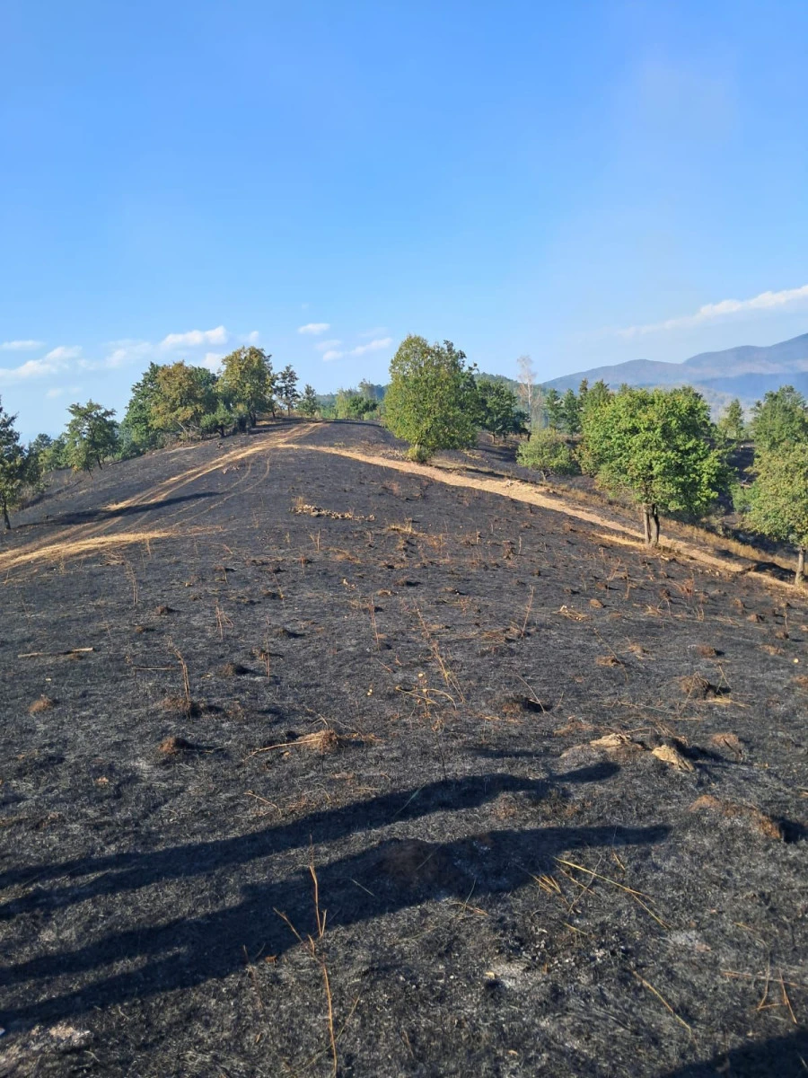 Pompierii arădeni luptă cu incendiile de vegetație în toate colțurile județului. Au fost afectate 74 de hectare, într-o singură zi