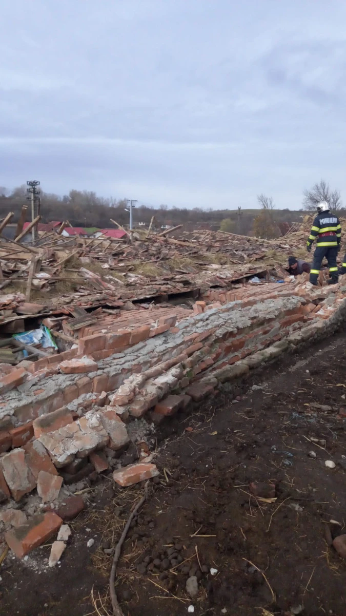 Pompierii au reușit să salveze 12 porci și un măgar, după prăbușirea unui grajd în localitatea Păulian