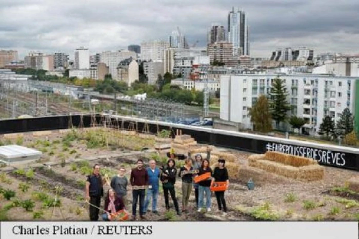 Poștașii din Paris cultivă legume și cresc găini pe acoperișul Poștei