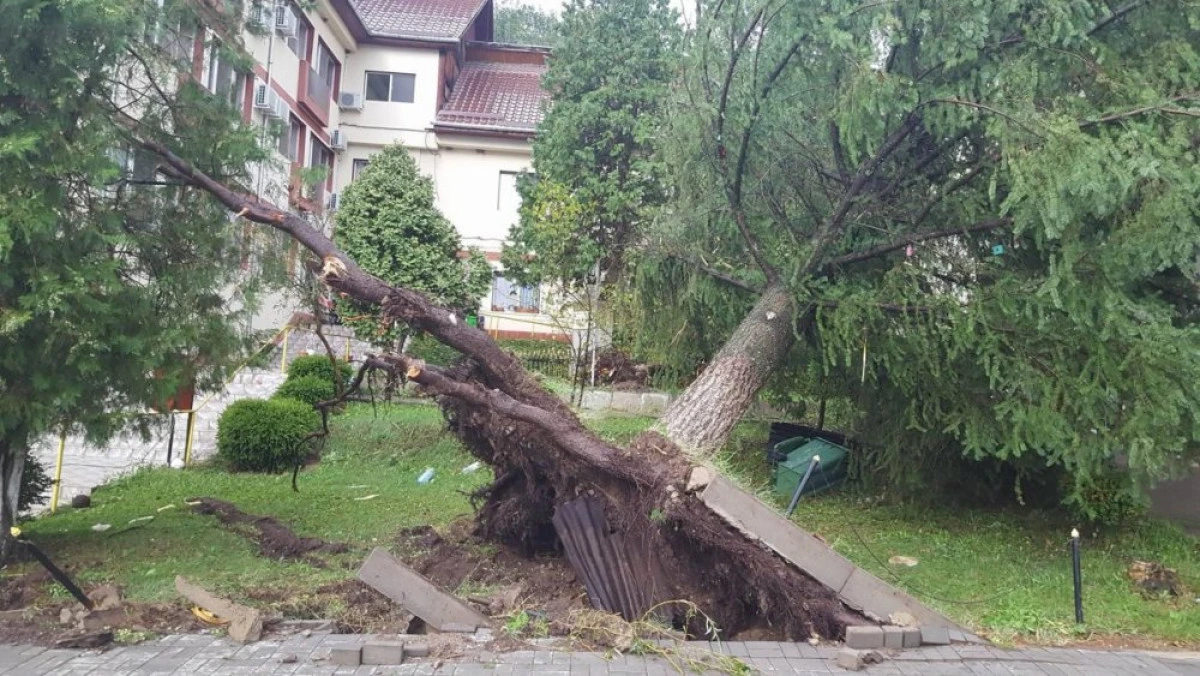 Prefectura și CJA au solicitat Guvernului bani pentru cei afectați de furtună