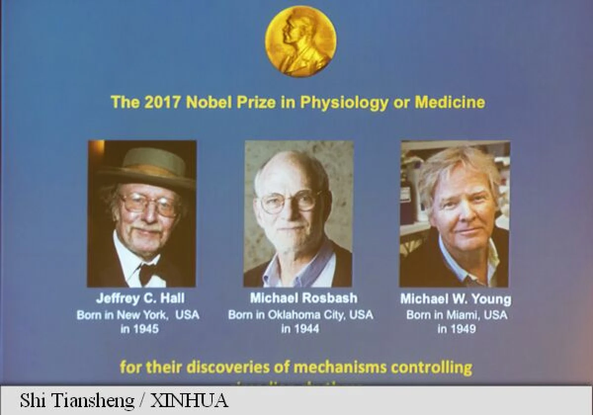 Premiul Nobel pentru Medicină, câștigat de trei americani