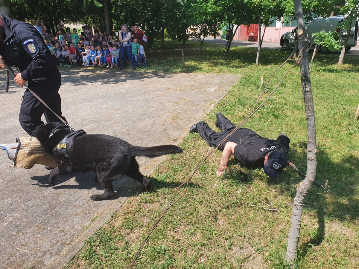 Preșcolarii de la „Guttenbrunn" s-au jucat cu Ares și Veta, ciobăneștii polițiștilor
