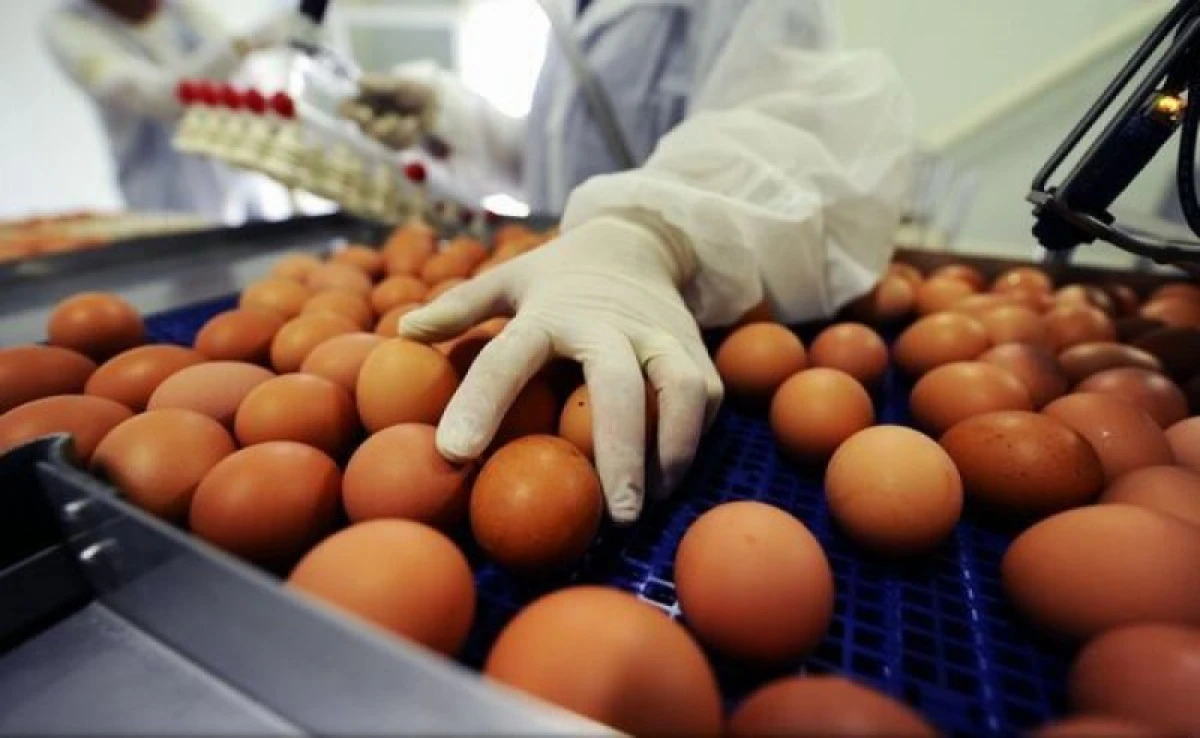 Prețul ouălor a explodat înainte de Crăciun