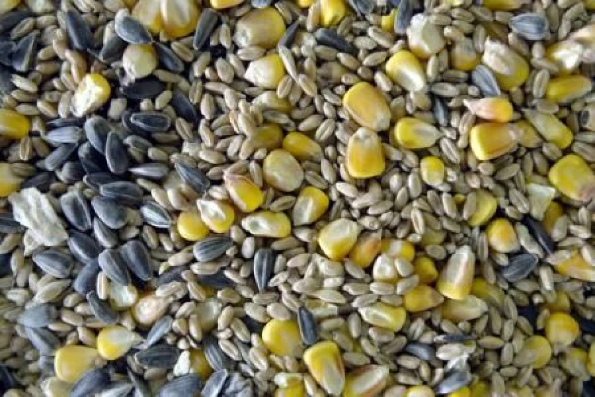 PRETURILE ALIMENTELOR, LA CEL MAI SCAZUT NIVEL DIN ULTIMII CINCI ANI, IN APRILIE