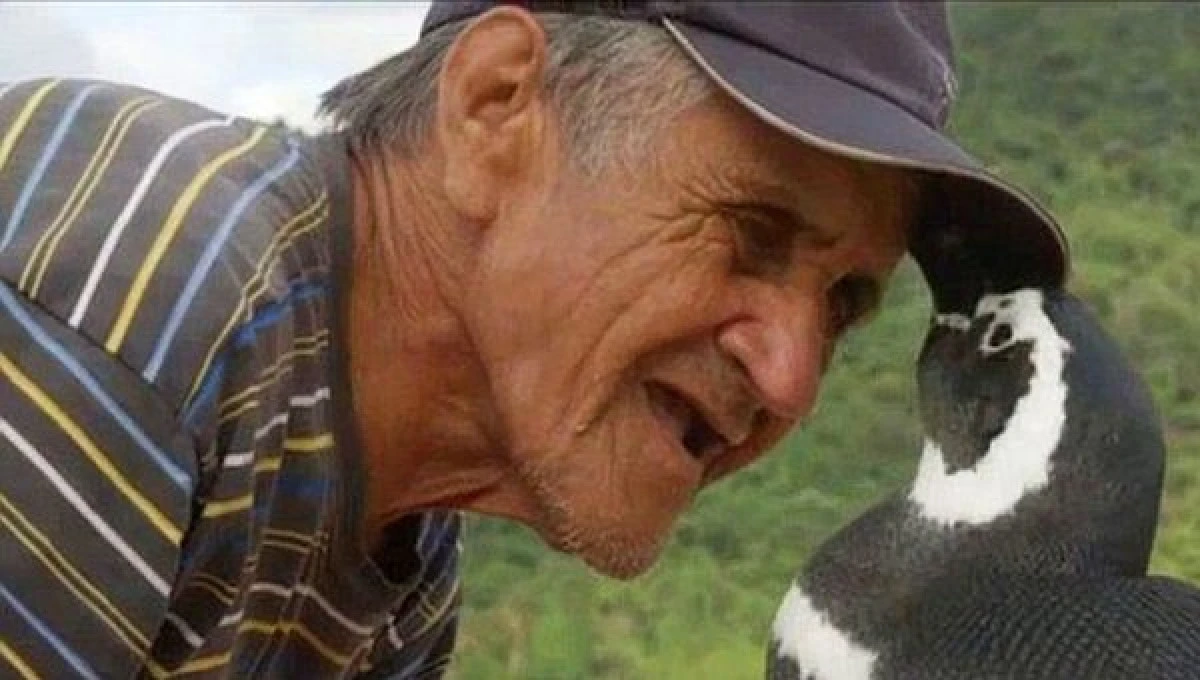 PRIETENIA NEOBISNUITA DINTRE UN PINGUIN SI UN ZIDAR