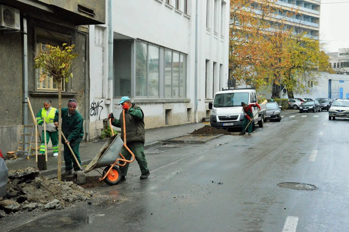 Primăria anunță lucrări de amenajare a spațiului verde pe bulevardul Decebal