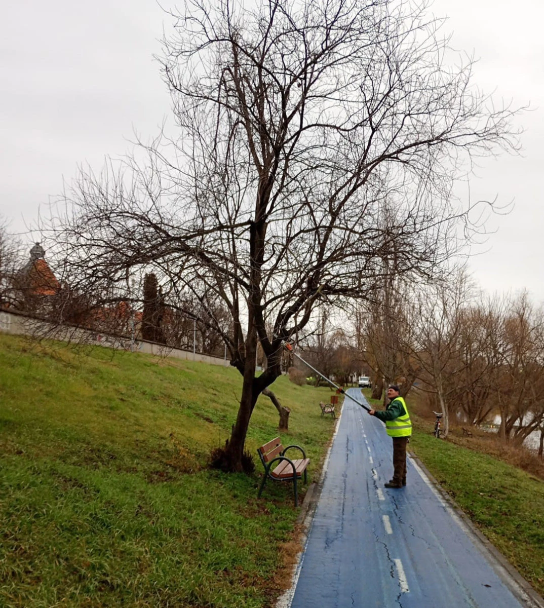 Primăria Arad a demarat lucrări de întreținere a parcurilor de pe malul Mureșului