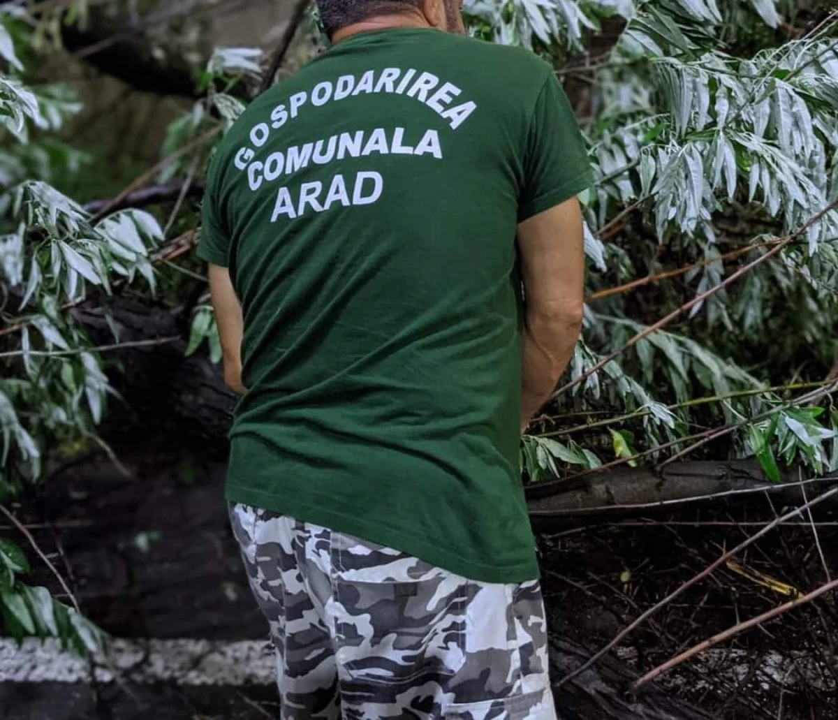 Primăria Arad: Atenție la cei care se dau angajați GCA și vând material dendrofloricol