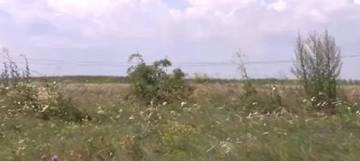 Primăria Arad: Terenurile agricole nelucrate timp de doi ani consecutiv, impozite majorate