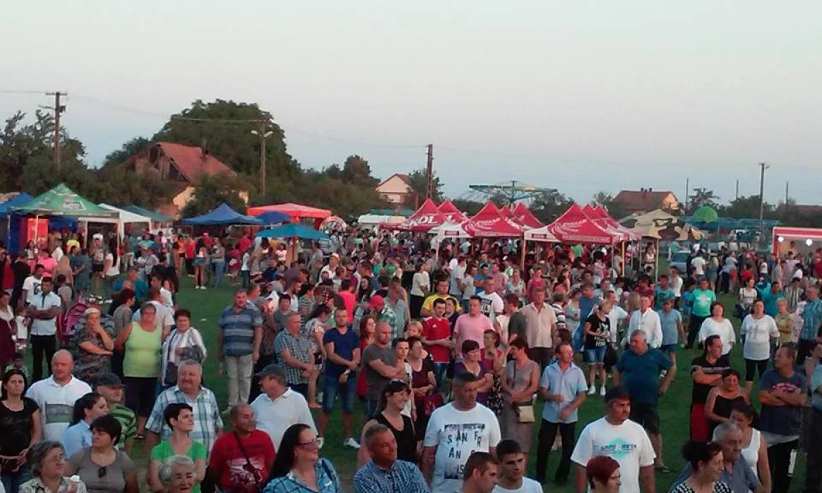 Primăria Felnac a fost nevoită să anuleze zilele comunei, din cauza pestei porcine