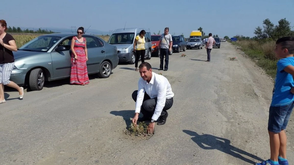 PRIMARUL ZABRANIULUI SI CETATENII DIN COMUNA AU PLANTAT FLORI IN GROPILE DE PE NEUDORF - TIMISOARA (FOTO)