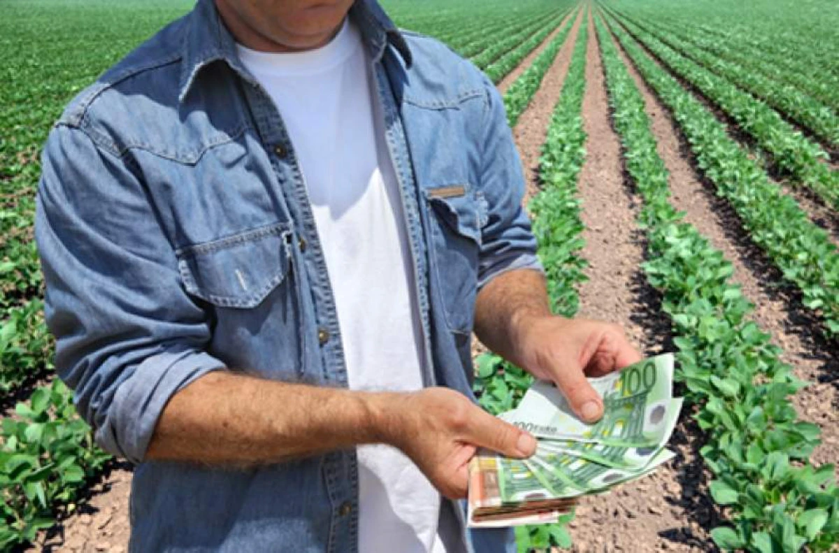 Primii 100.000 de fermieri vor primi subvenţiile agricole pentru lucrările de toamnă