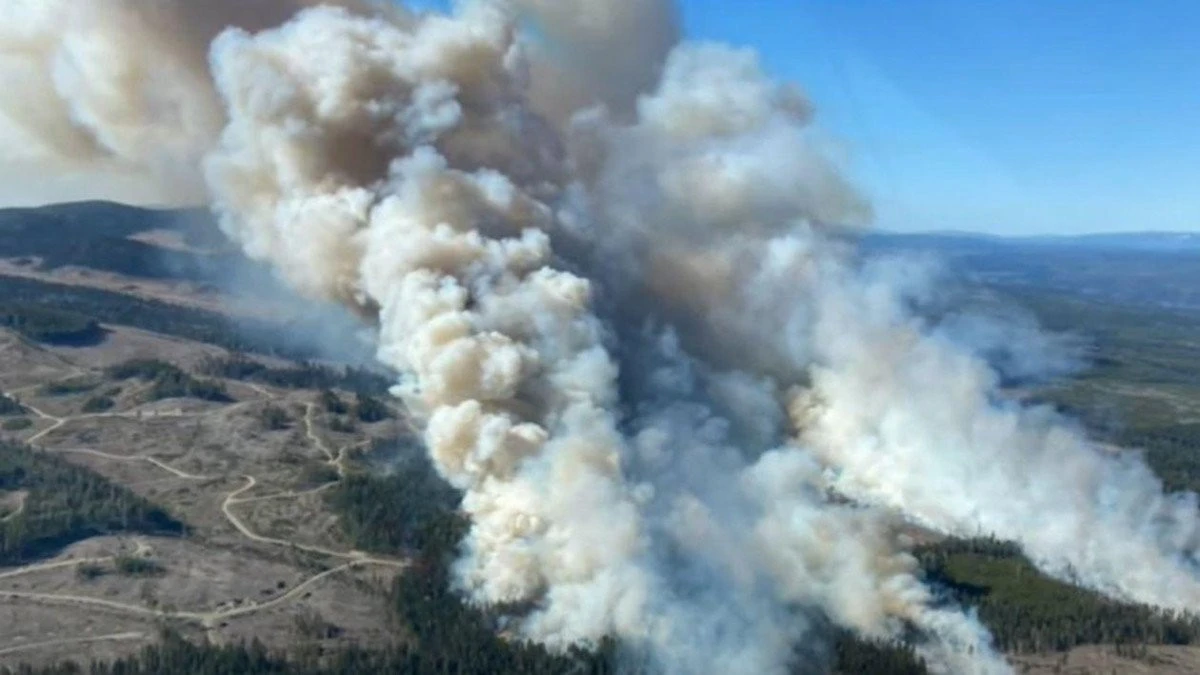Primul incendiu major din 2024 lovește Canada: Un oraș întreg a fost evacuat