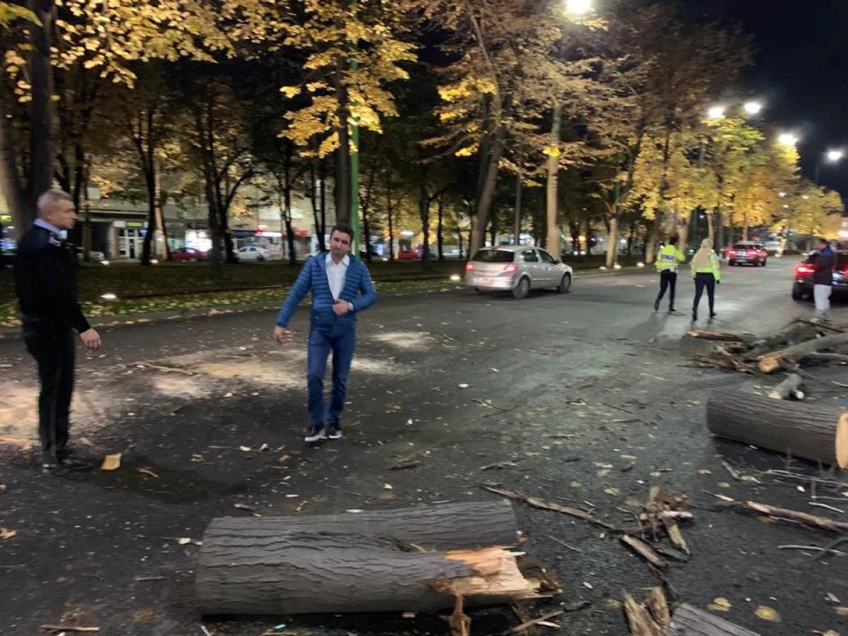 Prințișorul Bibarț e cel mai bun primar. Pe Facebook, fiindcă în realitate ne cade Aradul în cap
