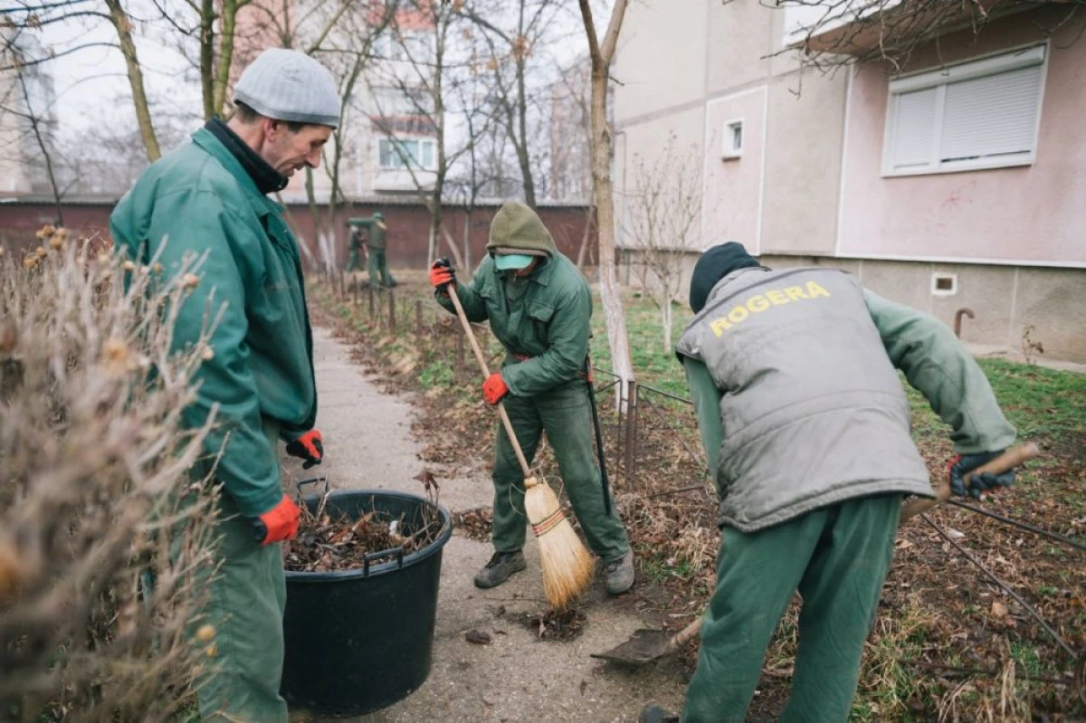 Programul curățeniei de toamnă în municipiul Arad