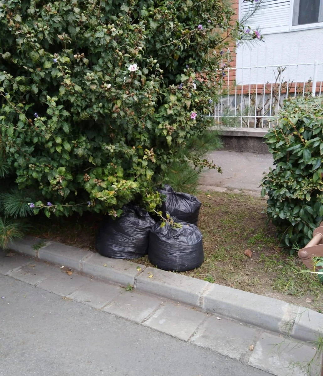 Programul de colectare gratuită a biodeșeurilor provenite din grădini și parcuri și a deșeurilor voluminoase
