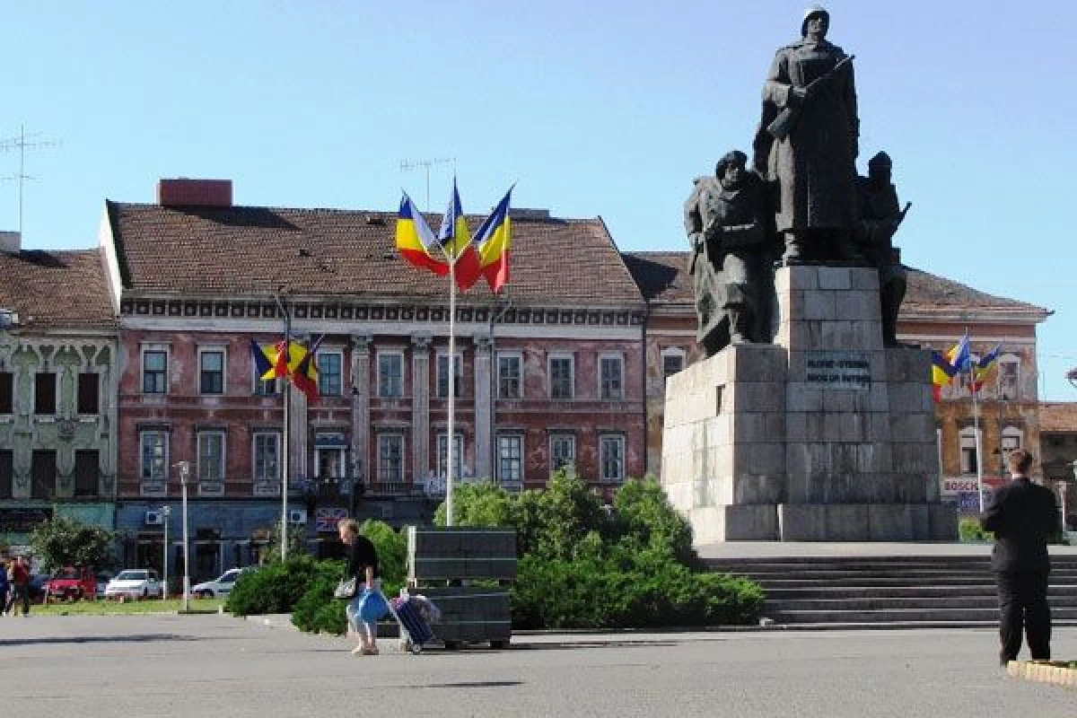Programul manifestărilor prilejuite de Ziua Forțelor Terestre, la Arad