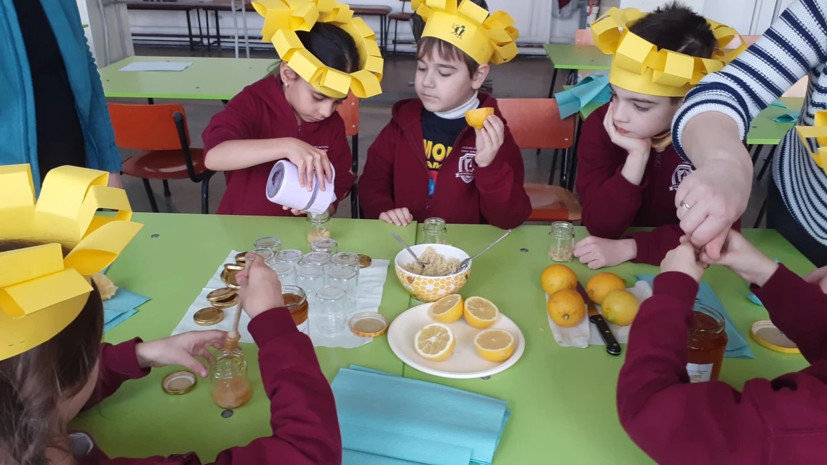 Proiect desfășurat împreună cu Ambasada Sloveniei, la Colegiul Național "Elena Ghiba Birta"