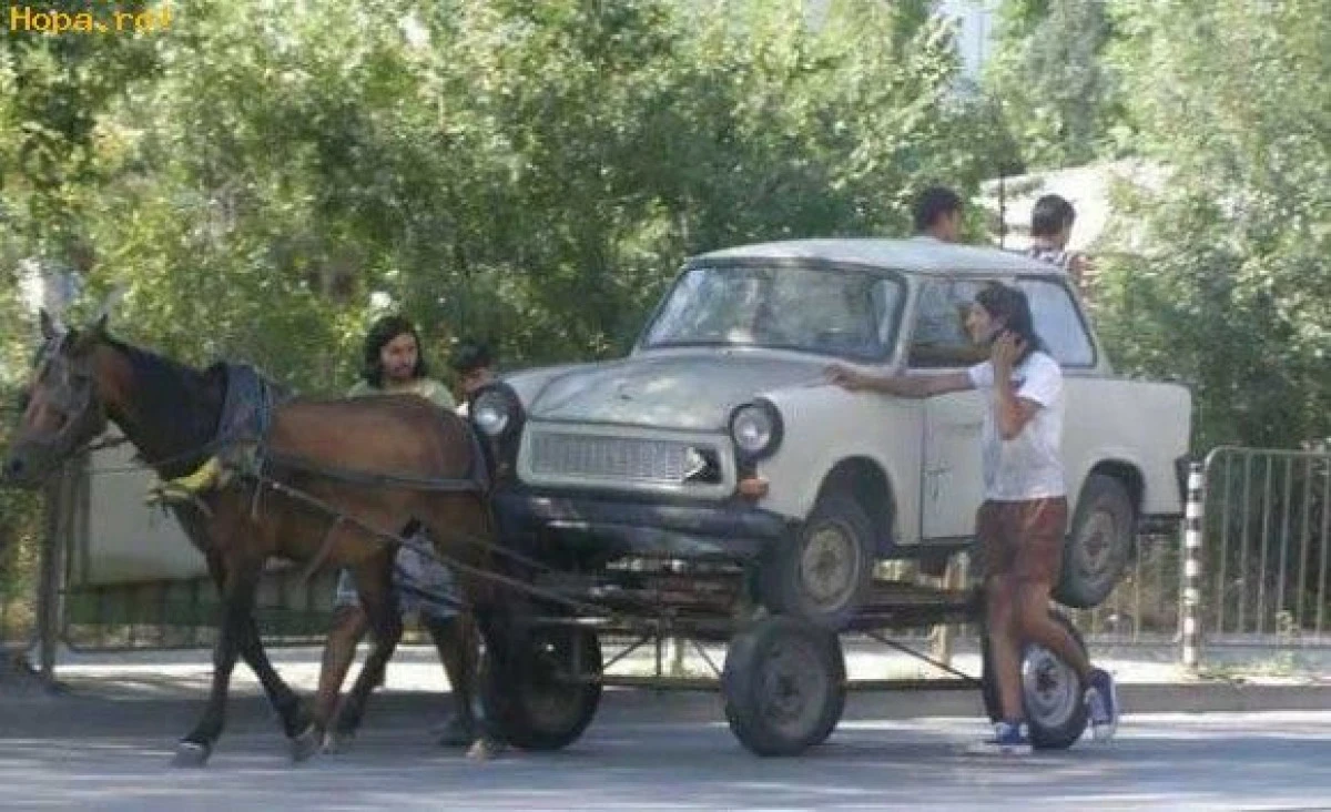 Proprietarii de căruțe vor fi obligați să plătească RCA