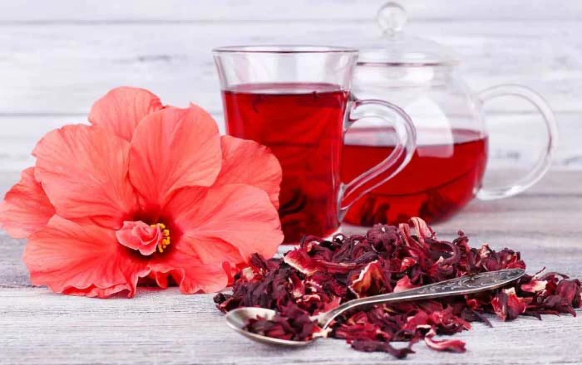 Proprietățile terapeutice ale ceaiului de hibiscus