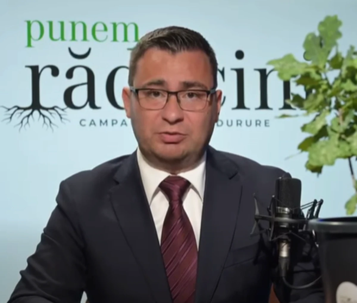 „Punem rădăcini”: cel puțin 36.494 de arbori vor fi plantați în județ în urma unei campanii inițiate de senatorul Glad Varga