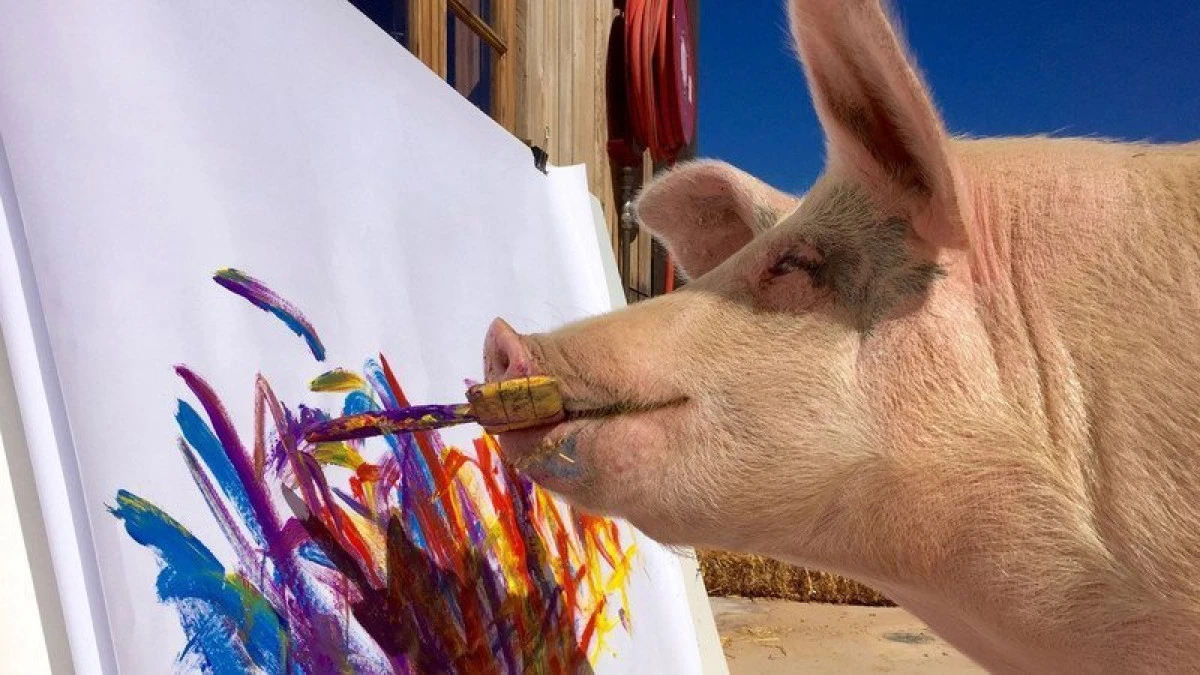 Purcica Pigcasso, celebră pentru picturile sale