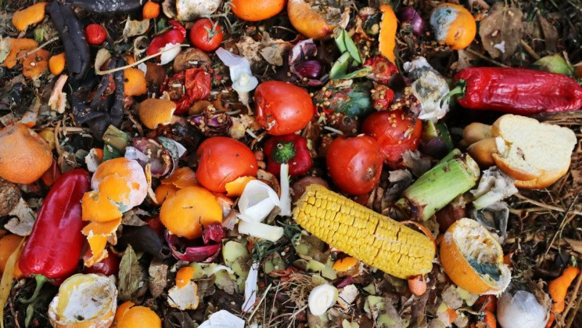 Raport ONU: Oamenii aruncă anual aproape un miliard de tone de alimente