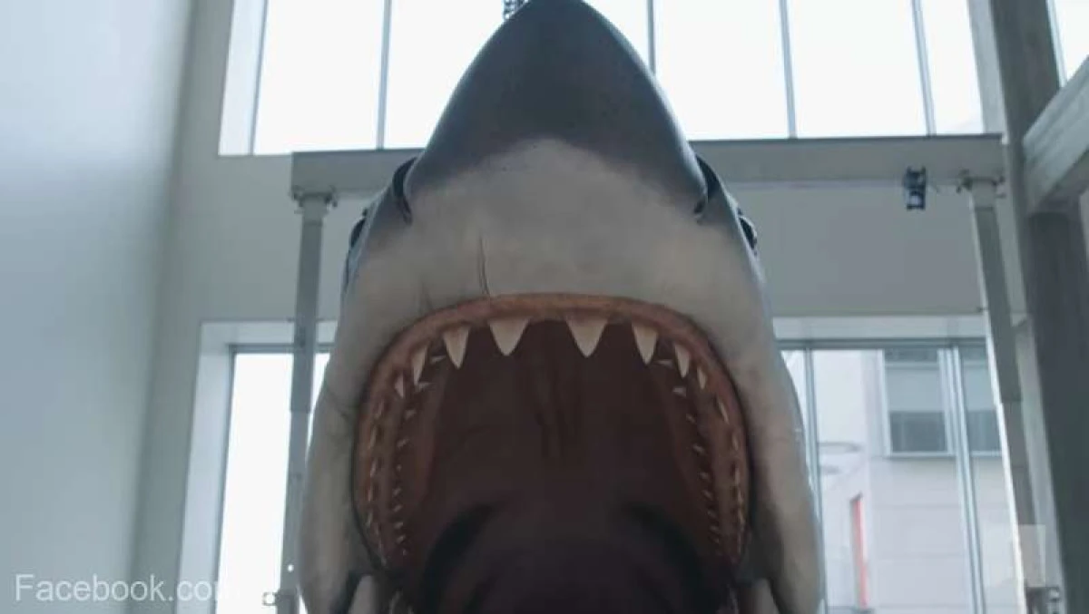 Rechinul din ''Jaws'', pregătit să terorizeze vizitatorii viitorului muzeu al Oscarurilor
