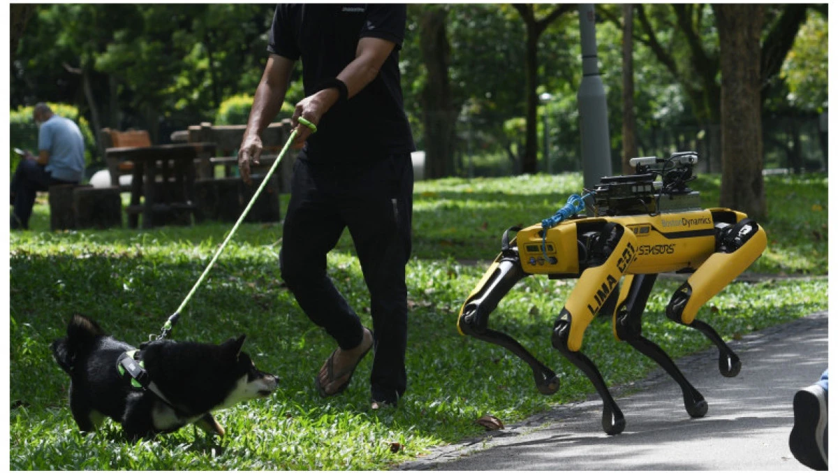 Roboții din Singapore iau locul angajaților pentru a acoperi deficitul de forță de muncă