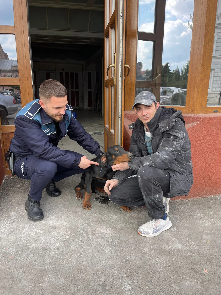 „Rocky se întoarce" - operațiune încheiată cu succes a polițiștilor