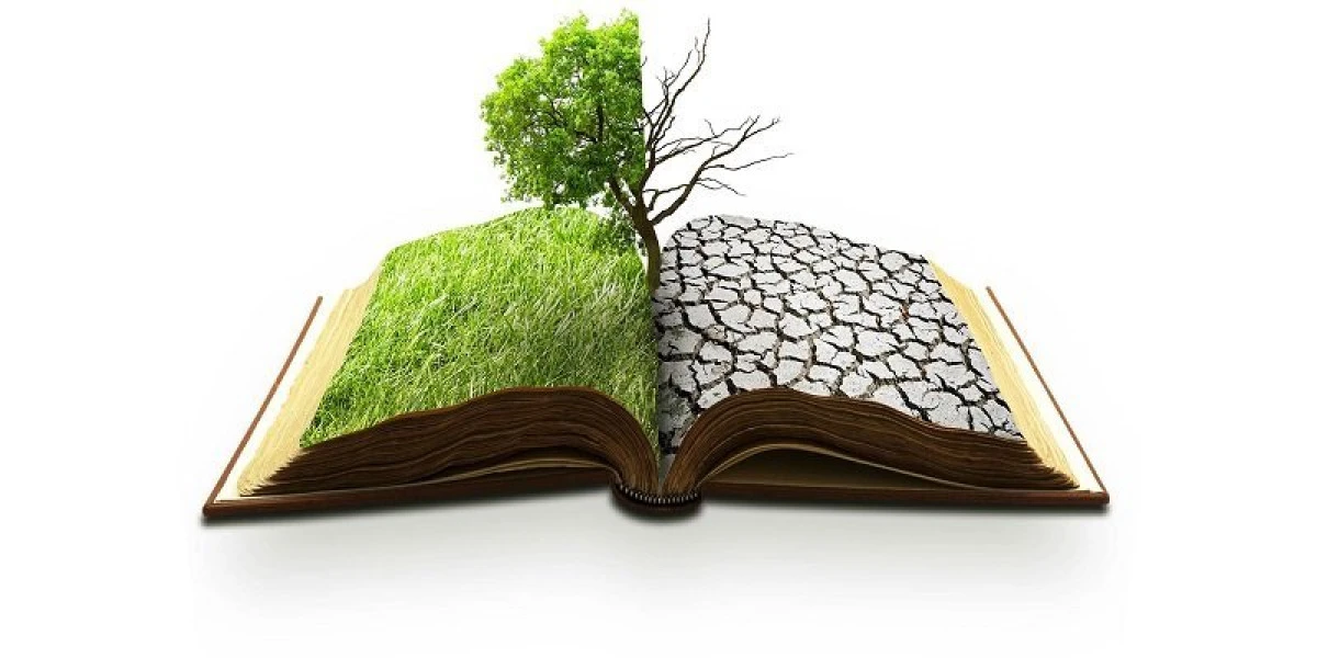 România a anunțat intenția de a lupta împotriva efectelor schimbărilor climatice