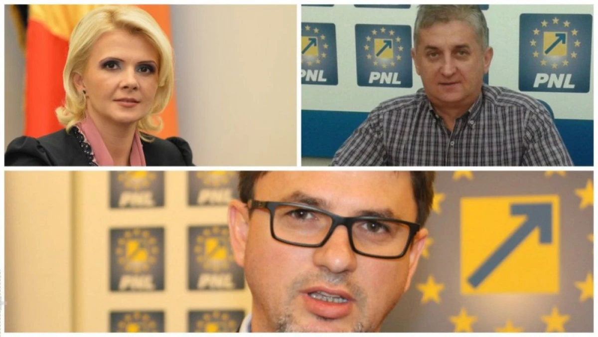 România Curată: Boghicevici, Pistru și Șcheau, pe lista neagră a alegerilor parlamentare