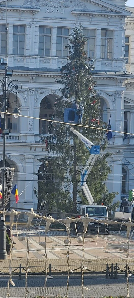 „România lucrului bine făcut - dezvoltăm Aradul“ - Bibarţ despodobeşte bradul, după o săptămână