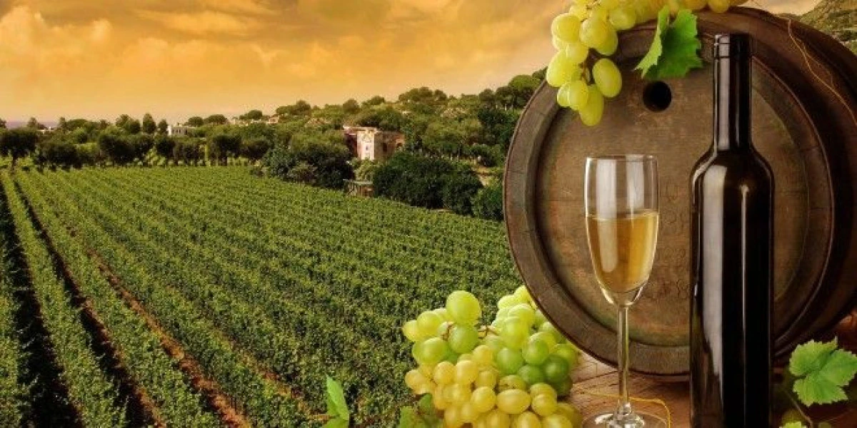 ROMÂNIA, PE LOCUL 13 ÎN TOPUL MONDIAL AL PRODUCĂTORILOR DE VIN