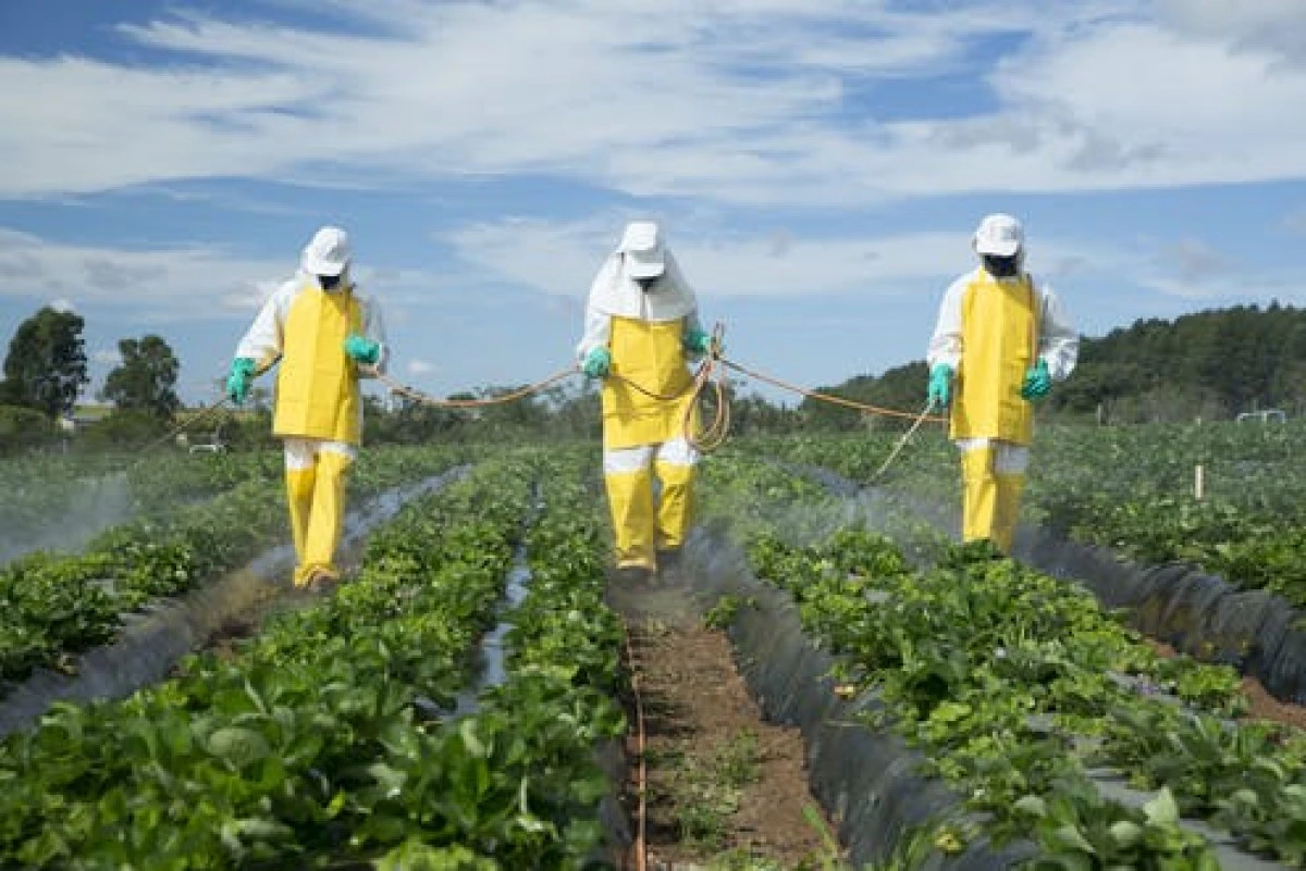 România, printre ţările membre UE cu cele mai mari vânzări de pesticide