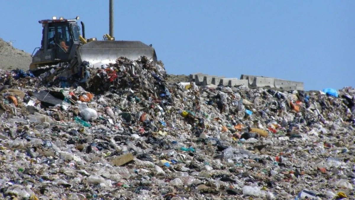 ROMANIA VA FI TRANSFORMATA IN GROAPA DE GUNOI A EUROPEI