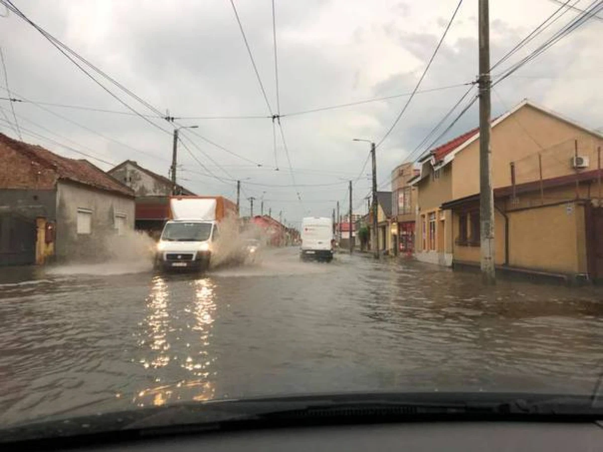 Rupere de nori la Arad: străzi inundate şi copaci puşi la pământ
