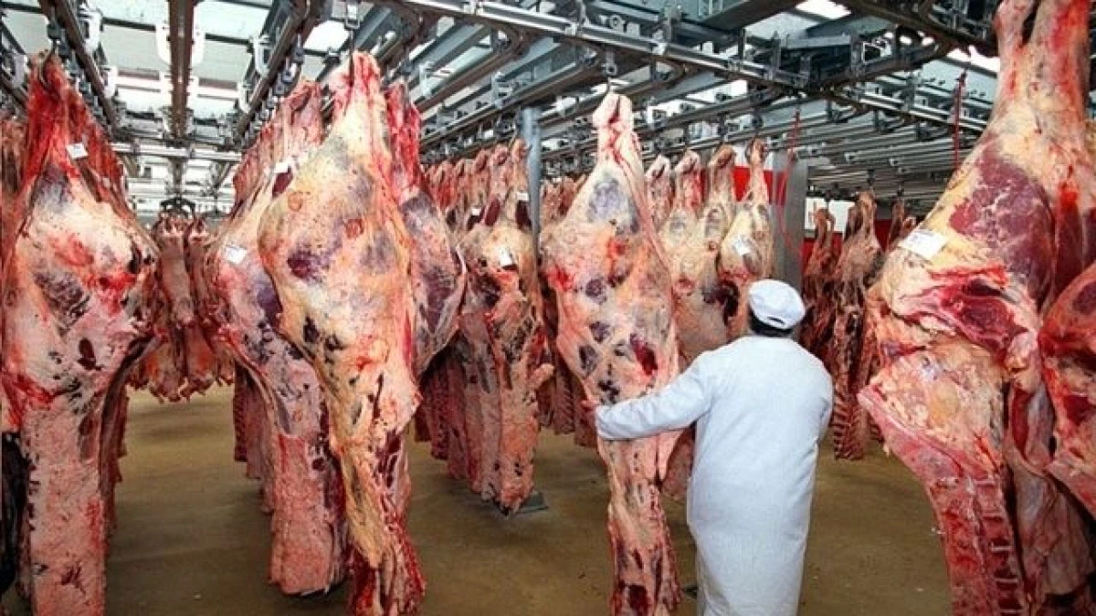 RUSIA INTERZICE IMPORTUL DE BOVINE SI CARNE DE VITA DIN ROMANIA