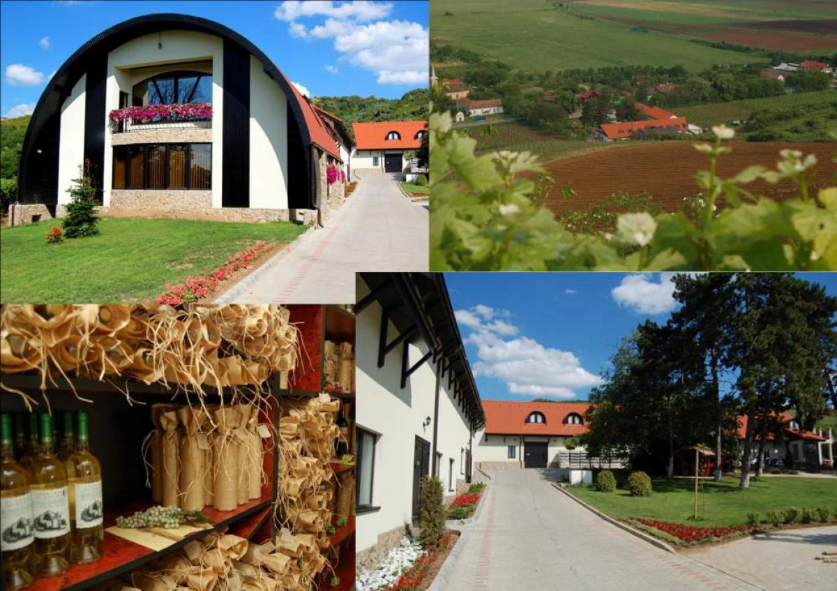 Sâmbătă începe Circuitul Cramelor din Podgoria Aradului
