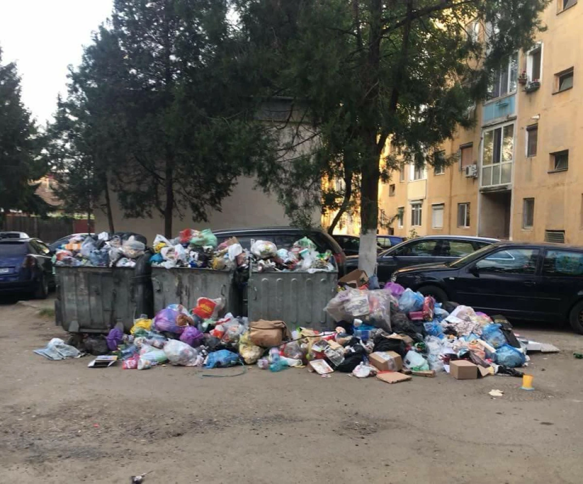 Sănătatea elevilor arădeni, pusă în pericol de gunoiul din jurul școlilor. IȘJ reacționează!