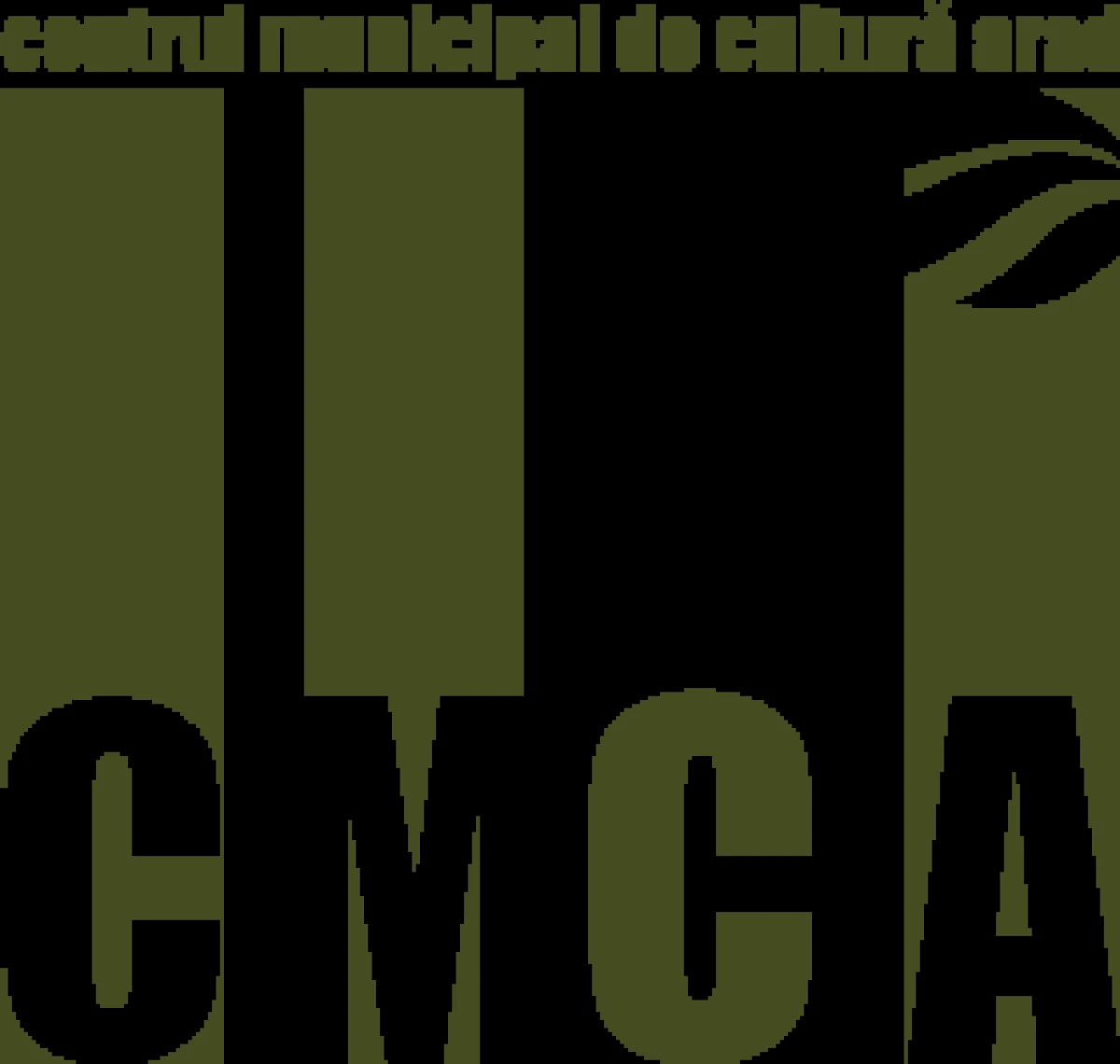 SASE PROIECTE CASTIGATOARE LA CONCURSUL ORGANIZAT DE CENTRUL MUNICIPAL DE CULTURA