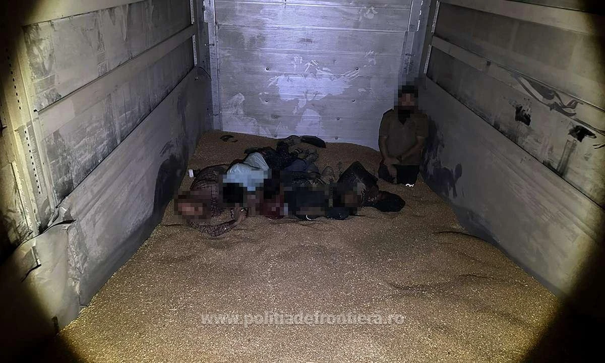 Șase refugiați au fost găsiți într-un TIR cu grâu, la Nădlac
