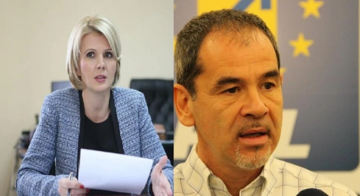 Scandal în PNL Arad! Moşneag vrea scaunul Claudiei Boghicevici