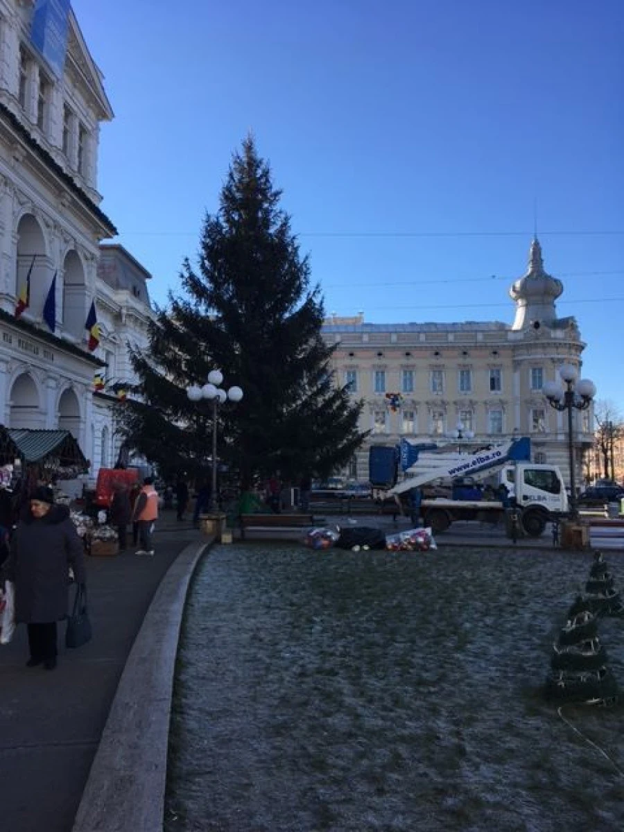 Se aprind luminile Bradului de Crăciun din fața Primăriei Arad