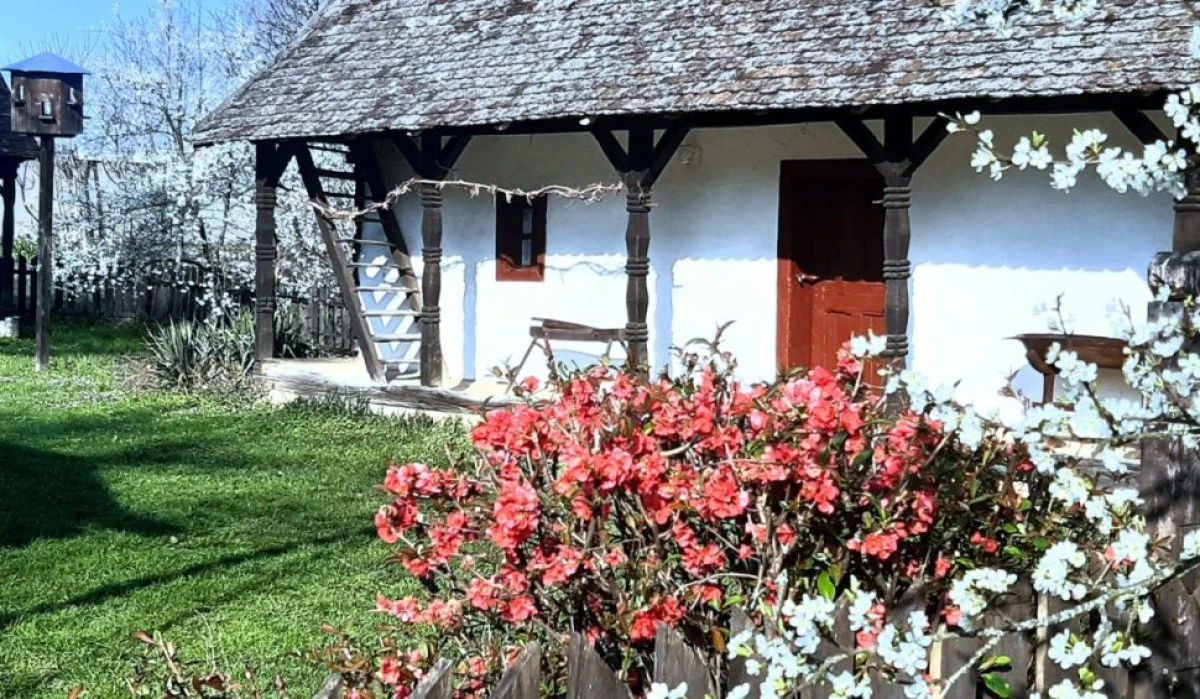 Se caută familii care să locuiască în case ale Muzeul Satului Bănățean