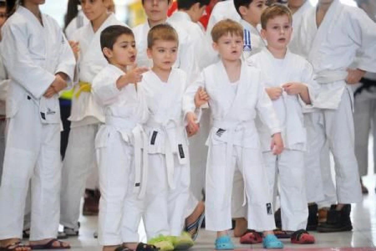 SE CAUTA PROFESORI PENTRU „JUDO IN SCOLI”. ARADUL ESTE INCLUS IN PROGRAM