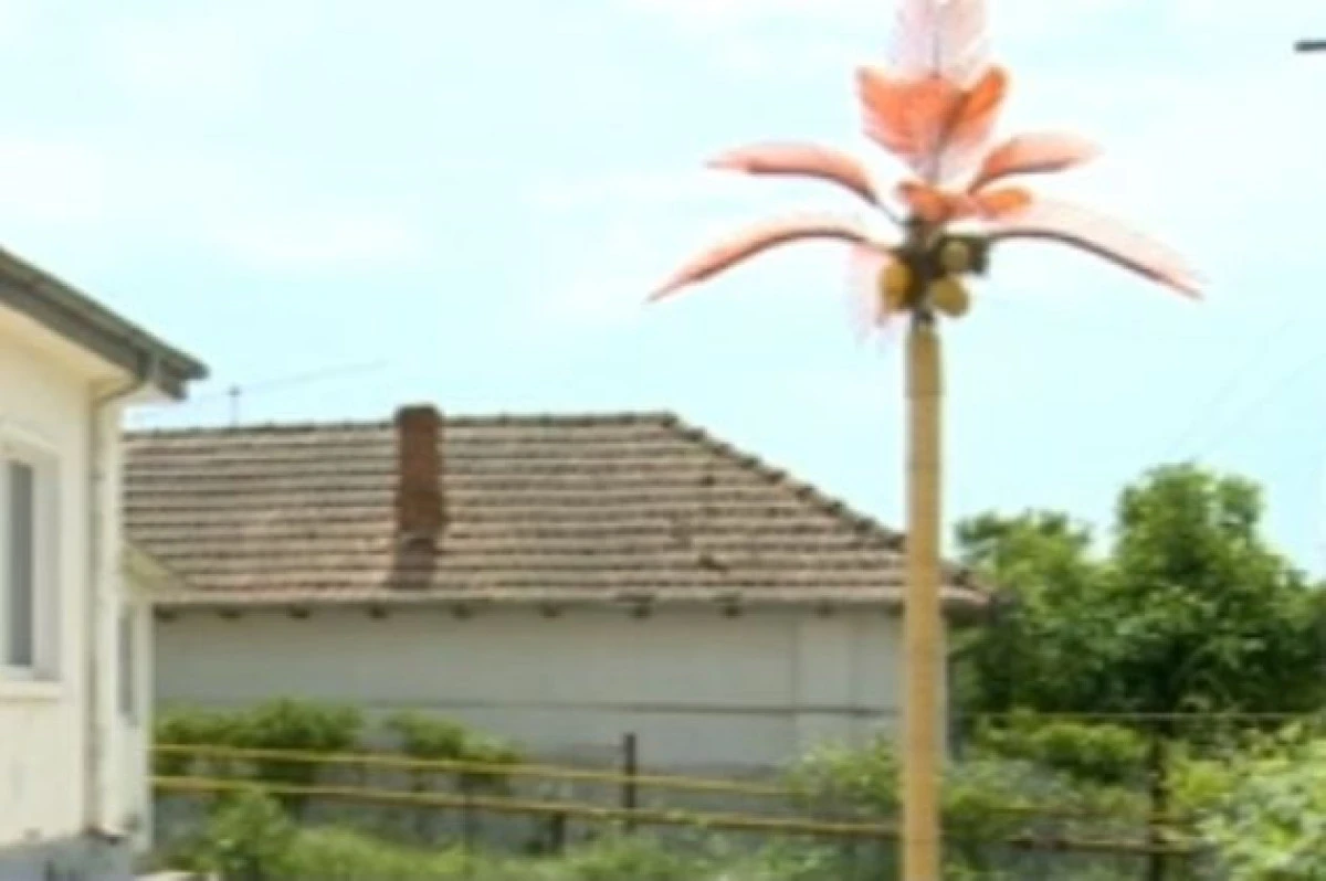 SE INTAMPLA IN ROMANIA. COMUNA CU PALMIERI, DAR FARA CANALIZARE