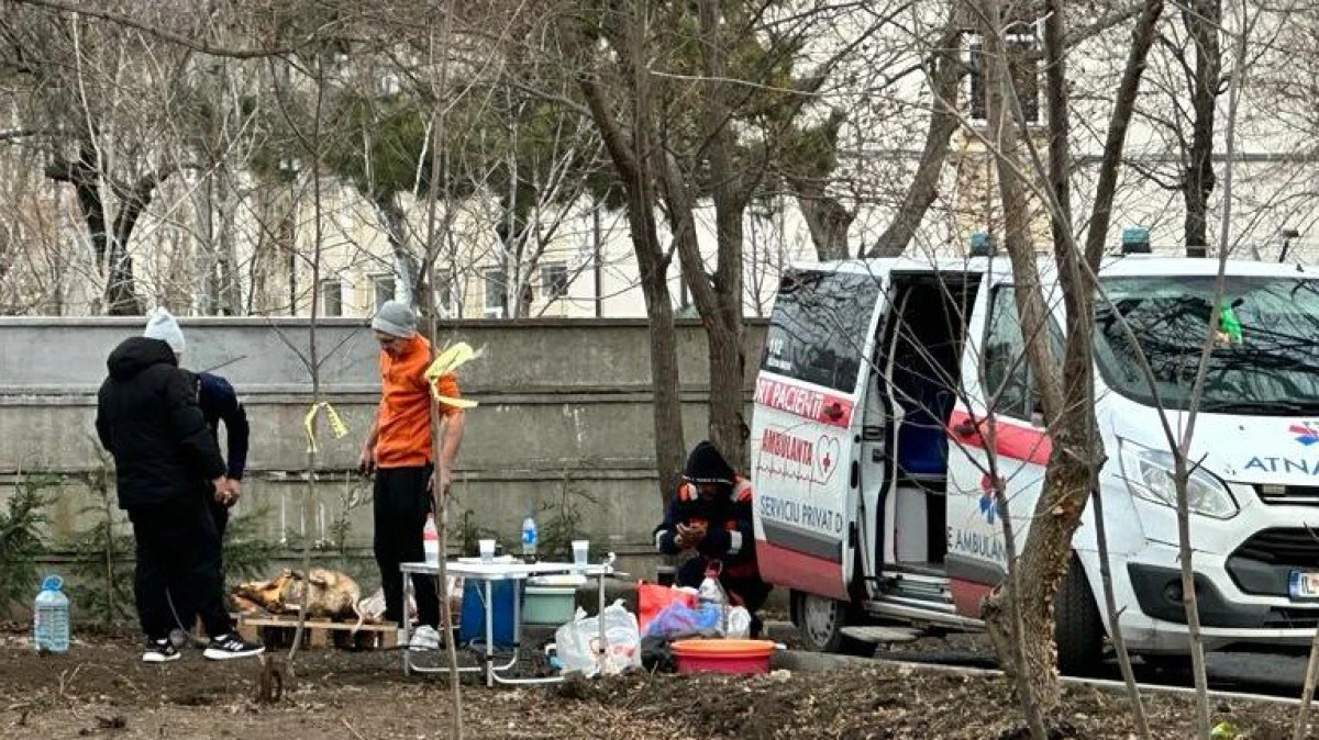 Se întâmplă în România! Porci descărcați din ambulanță și sacrificați în parc