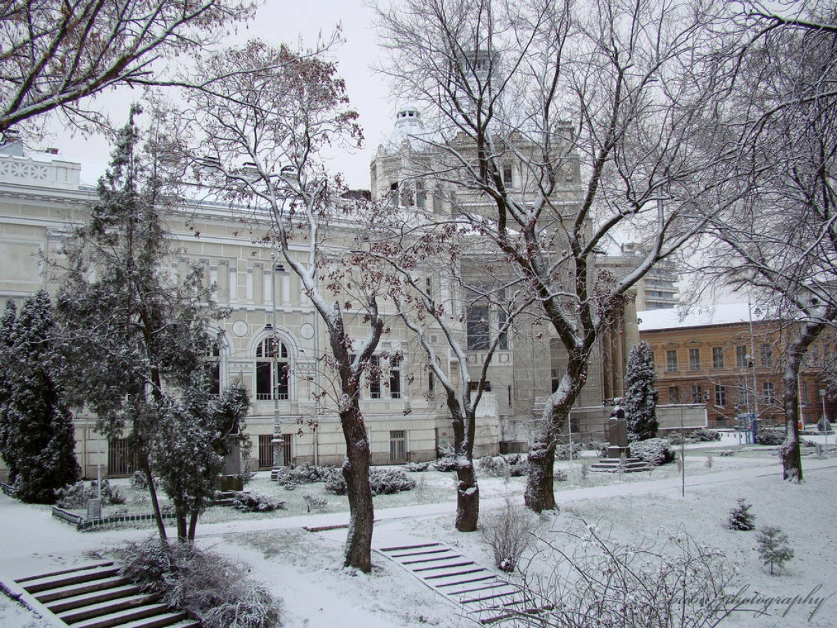 Se lasă gerul: -14 grade la Arad