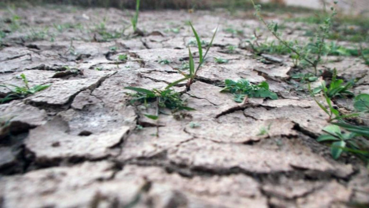 Secetă moderată, puternică şi extremă pe suprafețe agricole extinse din țară